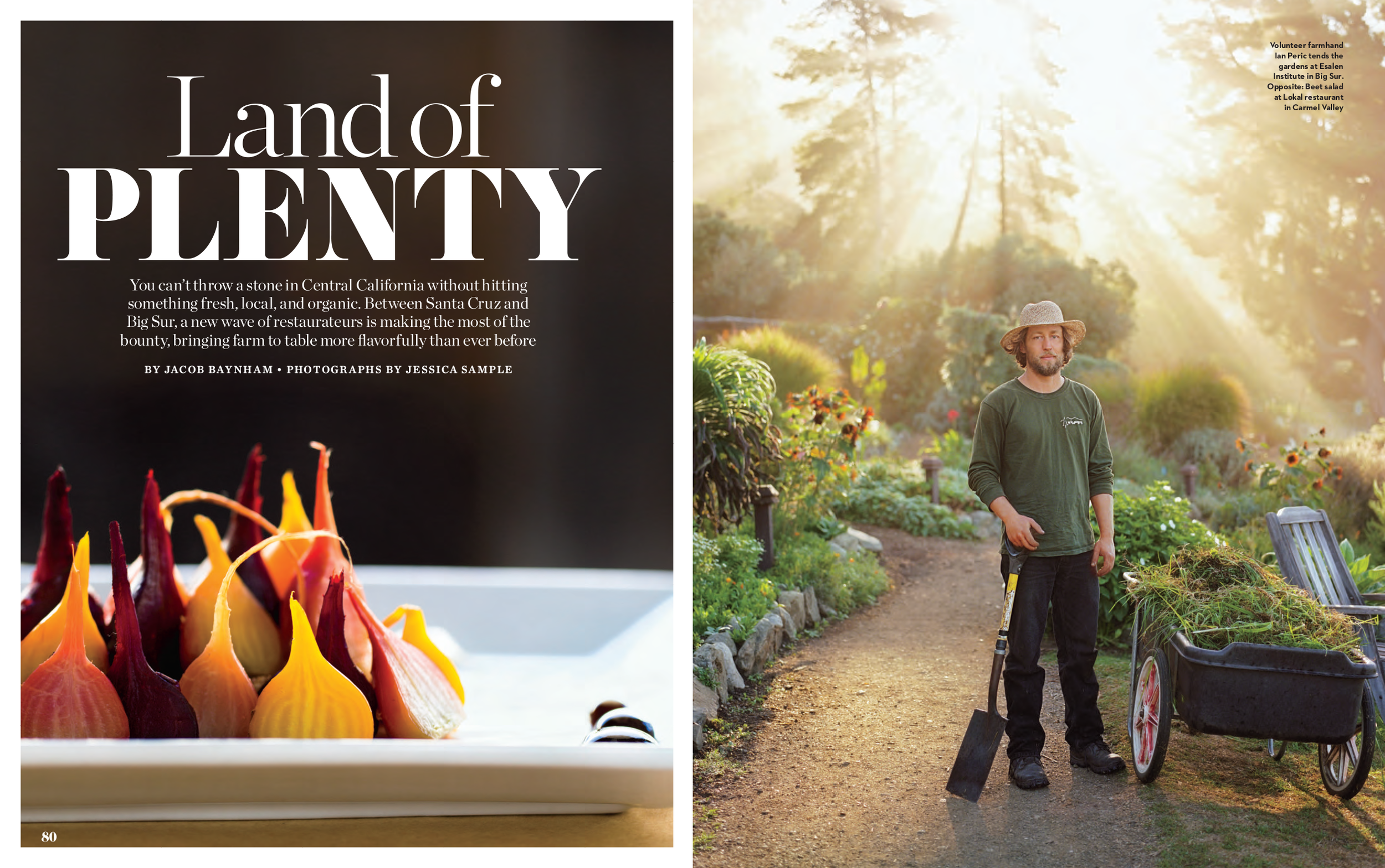 Maze_LandofPlenty-1.png