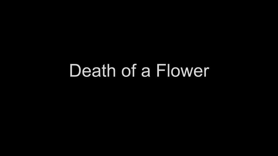 Deathofaflower.jpg