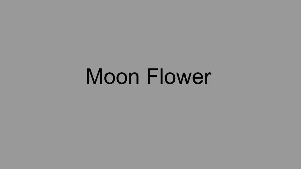 moonflower.jpg