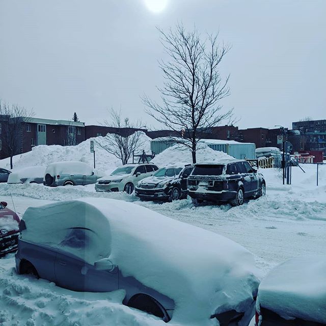 It's been so hard to get to work this morning... -20 degrees and too much snow... 🥶
.
.
.
.
.
#gamedevlife | #ratloopcanada | #canada | #quebec | #montreal | #mondaymotivation | #snow #snowstorm | #ice | #freezing | #cold | #photooftheday | #picoftheday | #winter | #instadaily | #nature | #life | #instamood | #instalike | #games | #gamers | #indie | #indiestudio | #ratloop