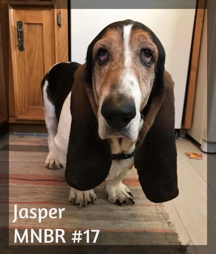 Jasper Adopted.jpg