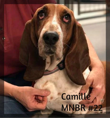 Camille adopted.jpg