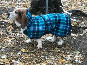 statsminister Pine Ass Kodiak Coat with Poly Cotton Lining - Red Plaid — Minnesota Basset Rescue