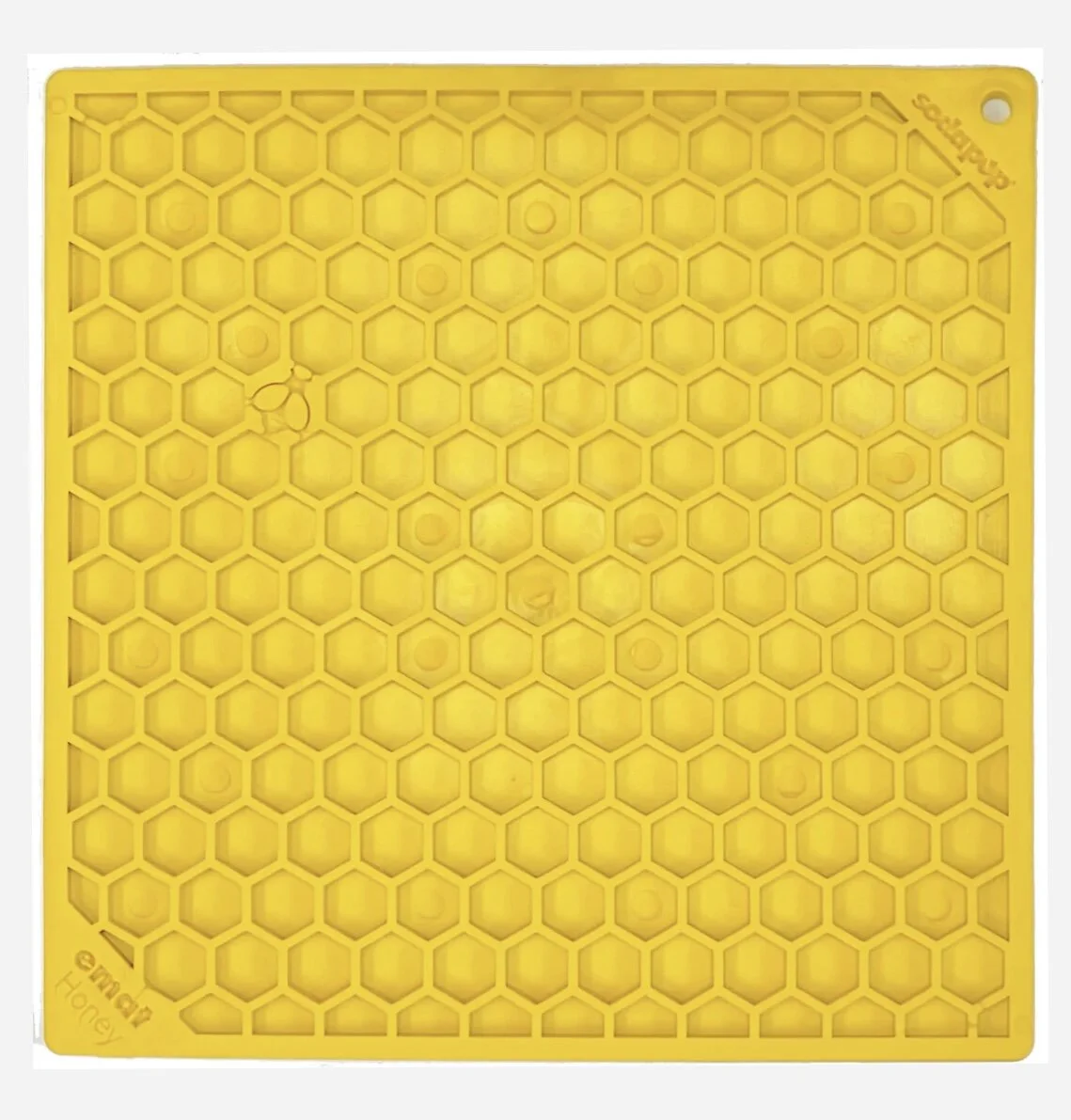 EB9A1513-FFBD-4C4E-BEED-076603FB1119