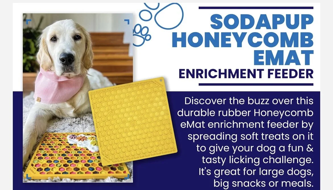 B32BB637-5AC8-4FC8-A4DD-803ADFB9CA08