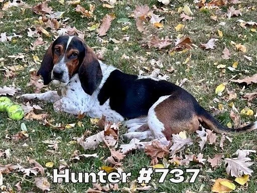 Hunter737.JPG