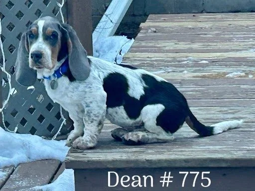 Dean775.JPG