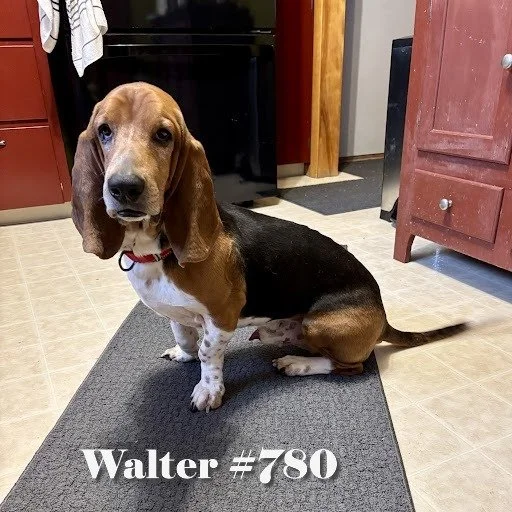 Walter780.JPG