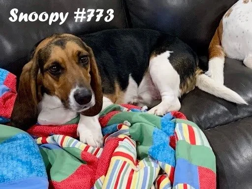 Snoopy773.JPG