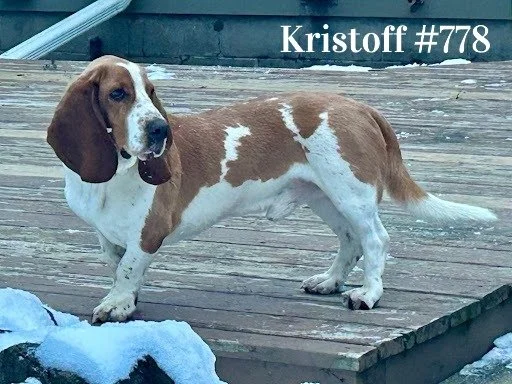 Kristoff778.JPG