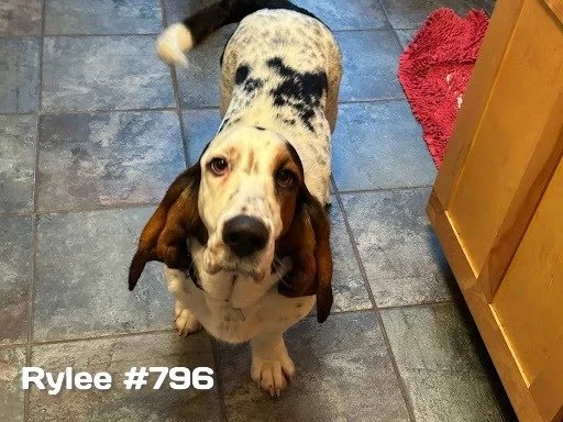 Rylee796.JPG