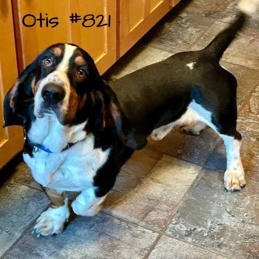 821Otis.JPG