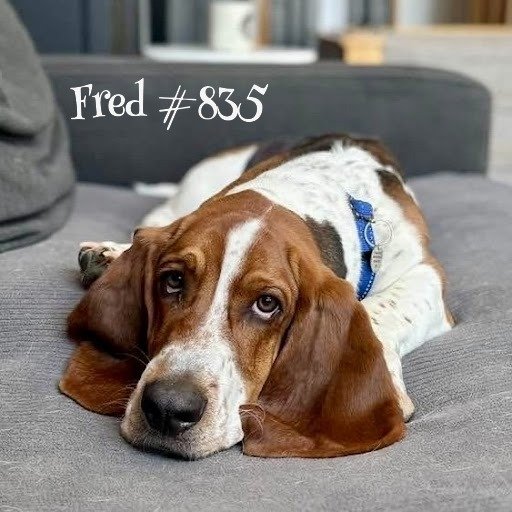 835Fred.JPG