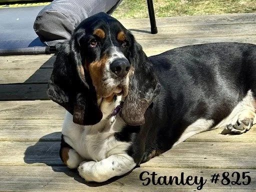 825Stanley.JPG