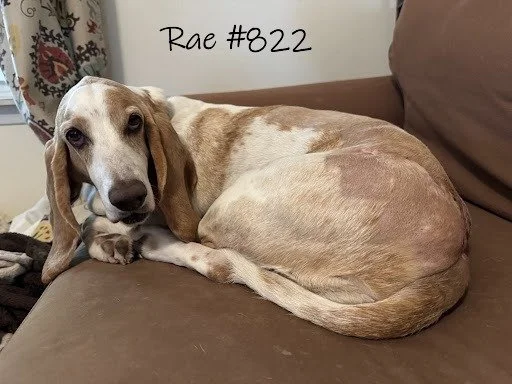 822Rae.JPG