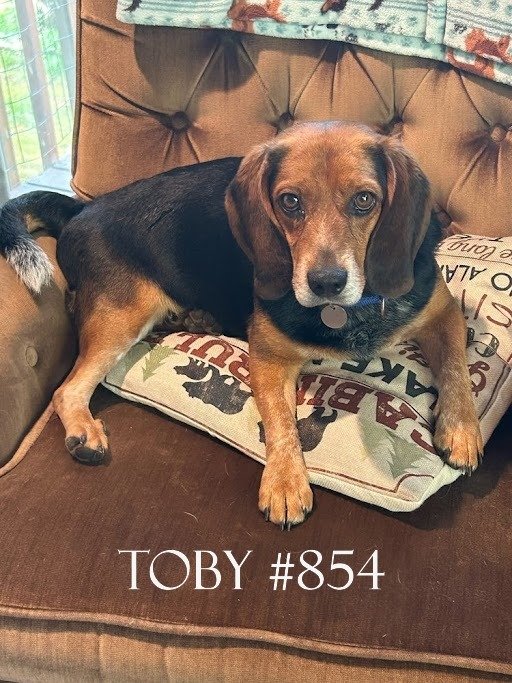 854Toby.JPG