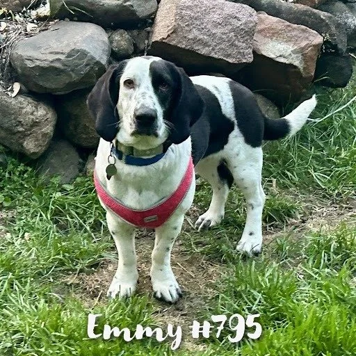 795Emmy2.JPG