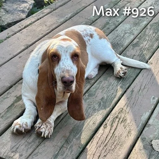 926Max.JPG