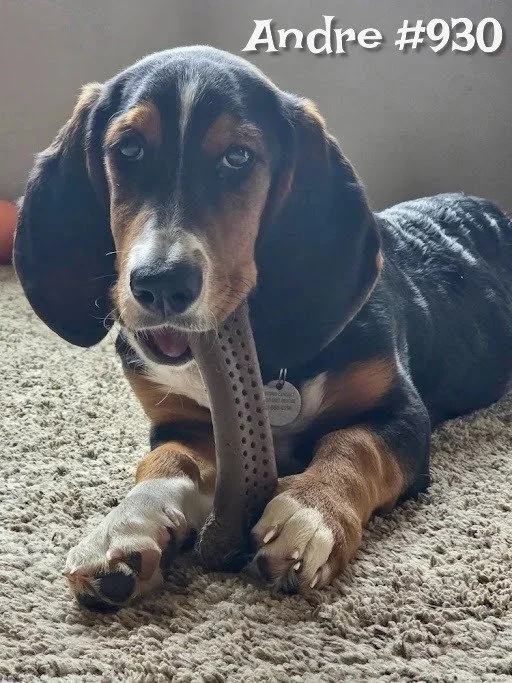930Andre.JPG