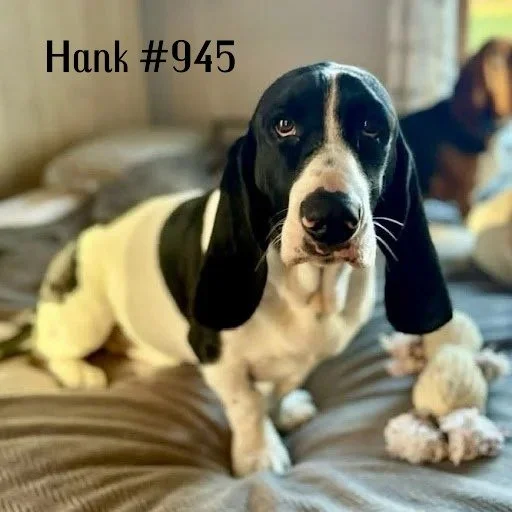 945Hank.JPG