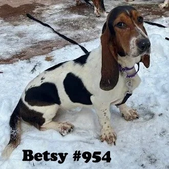 954Betsy.JPG