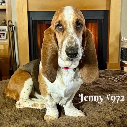 972Jenny.JPG