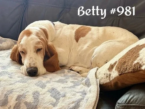 981Betty.JPG