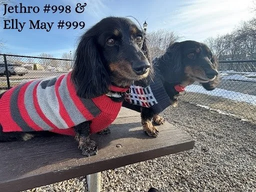 998999JethroEllyMay.JPG