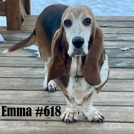 618Emma.JPG