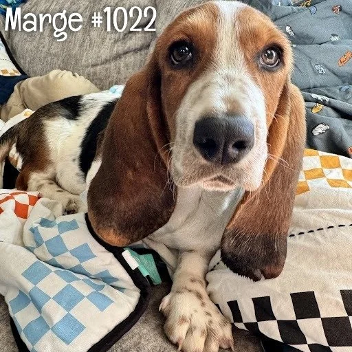 1022Marge.JPG
