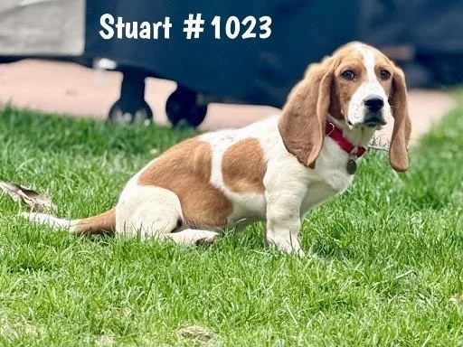 1023Stuart.JPG