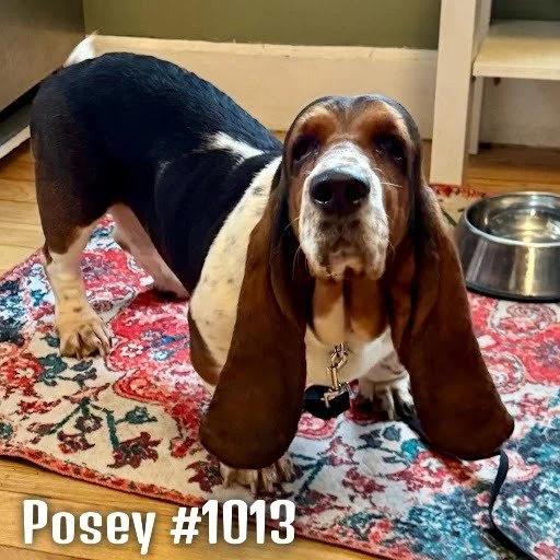 1013Posey.JPG