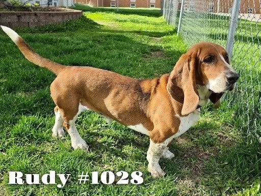 1028Rudy.JPG