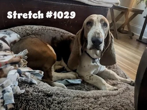 1029Stretch.JPG