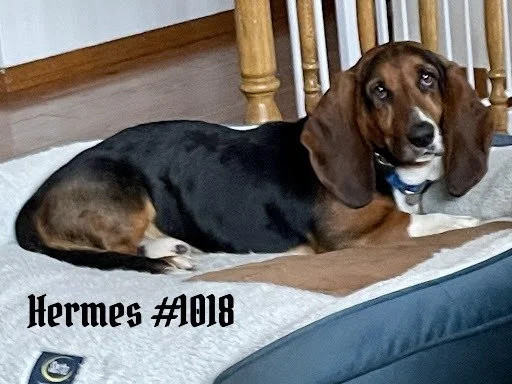 1018Hermes.JPG