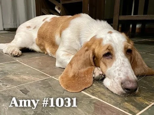1031Amy.JPG