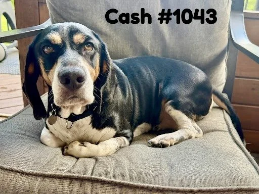 1043Cash.JPG