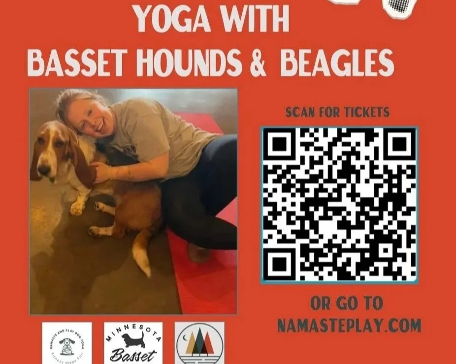 Basset Yoga