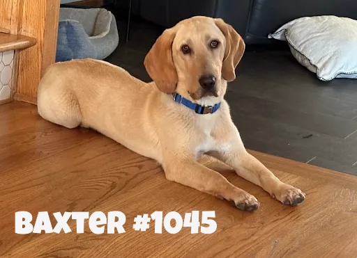 1045Baxter.PNG