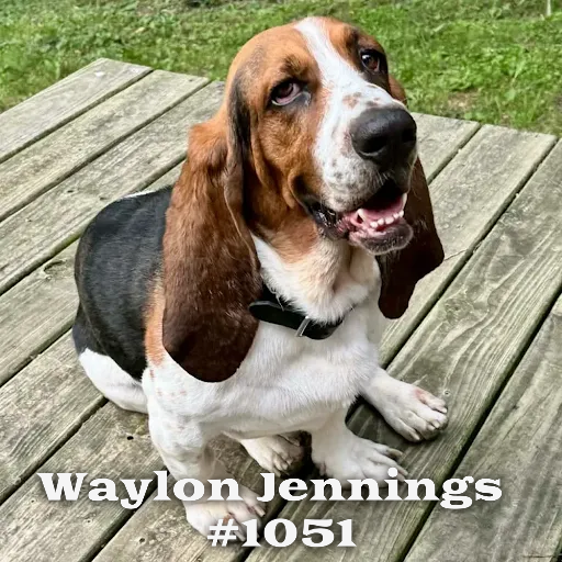 1051WaylonJennings.PNG