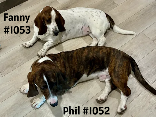 10521053PhilFanny.PNG