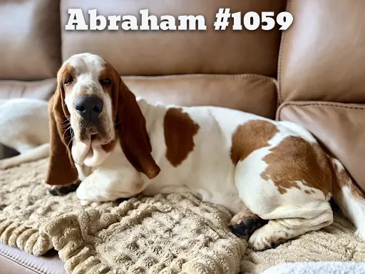 1059Abraham.PNG
