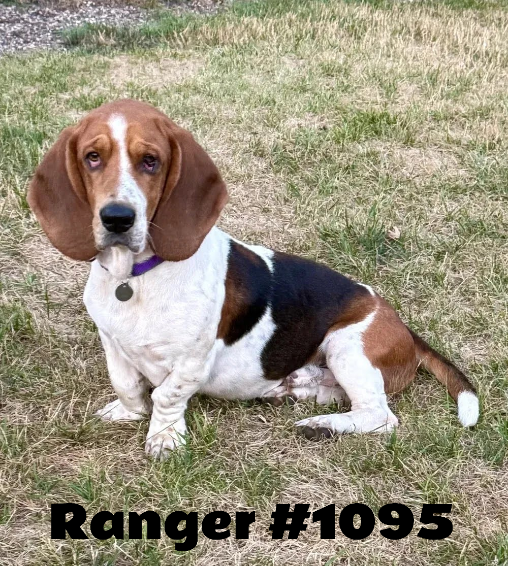 1095Ranger.png