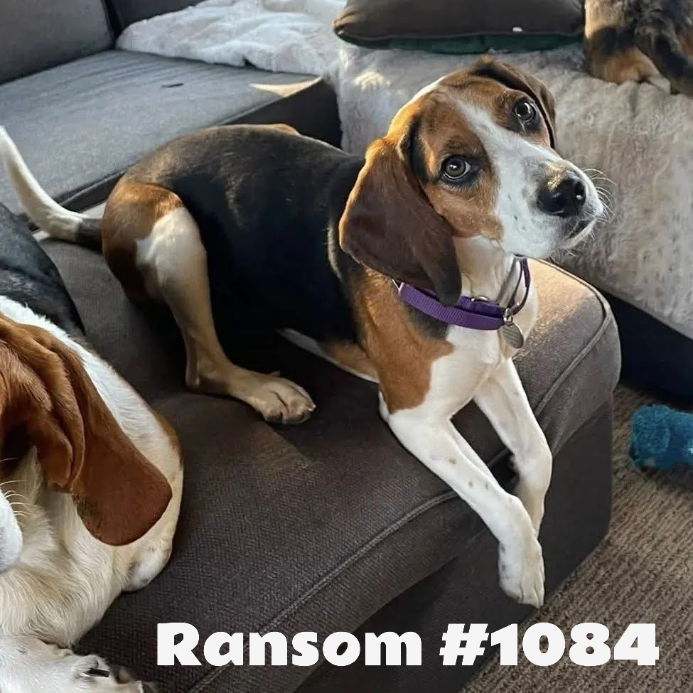 1084Ransom.png