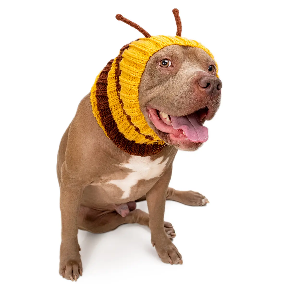 image (31).png