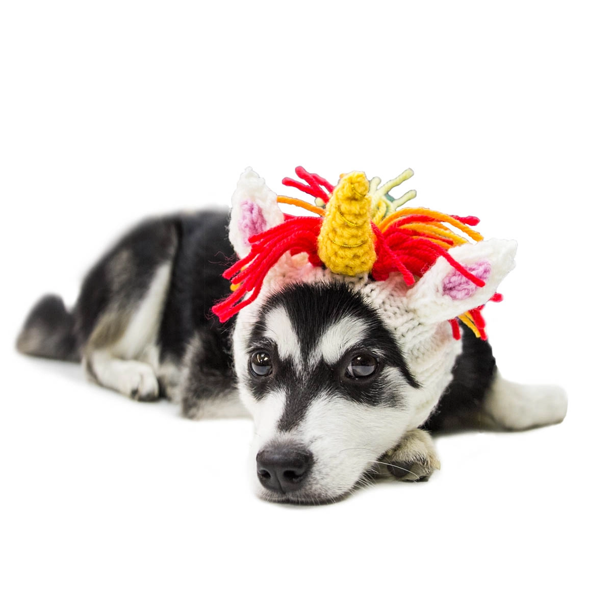 image (17).png