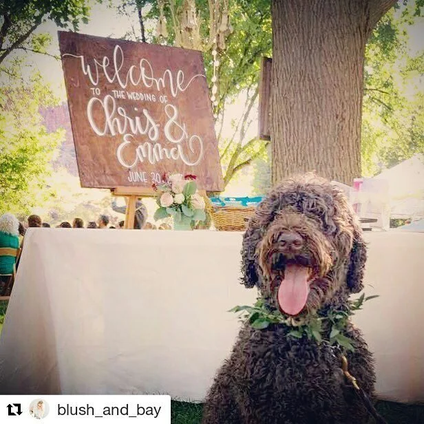 Can't handle the cuteness in this post by @blush_and_bay, complete with a @blankslateco cameo!
・・・
The best of welcoming committees! #nationaldogday
.
.
.
.
.
#blankslatehandwriting #lyonsfarmette #riverbend #summerwedding #repost