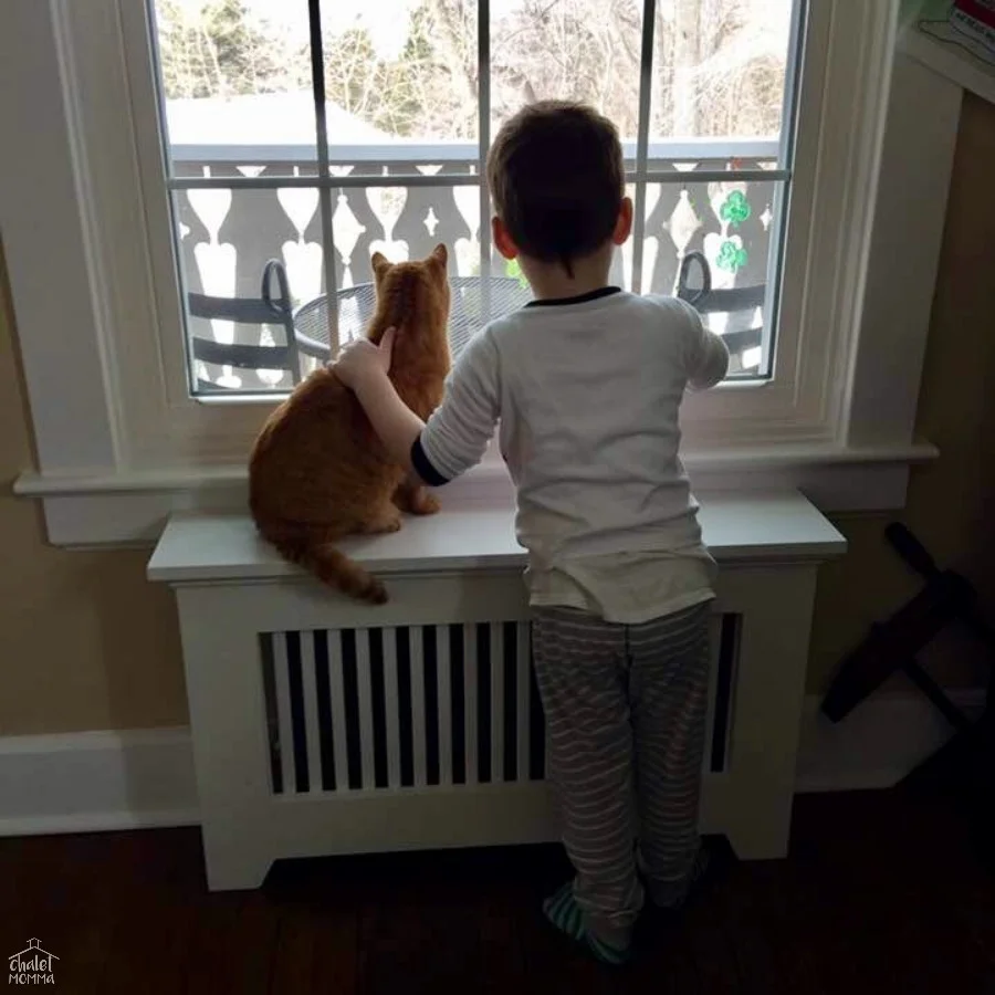 the boys looking out at the porch .jpg