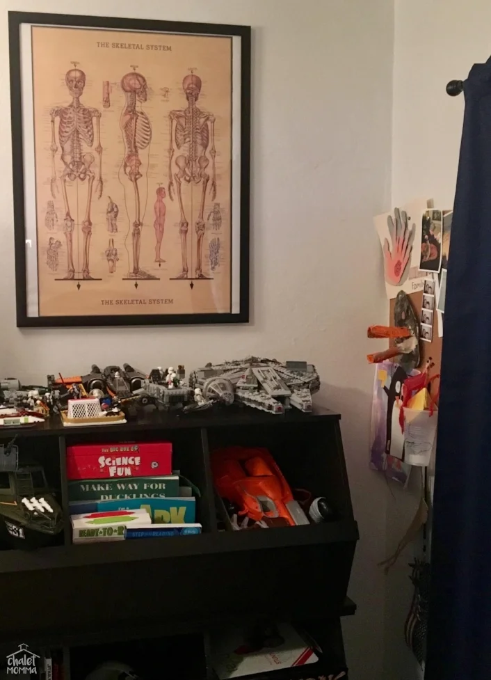 skeleton art cropped wm.jpg
