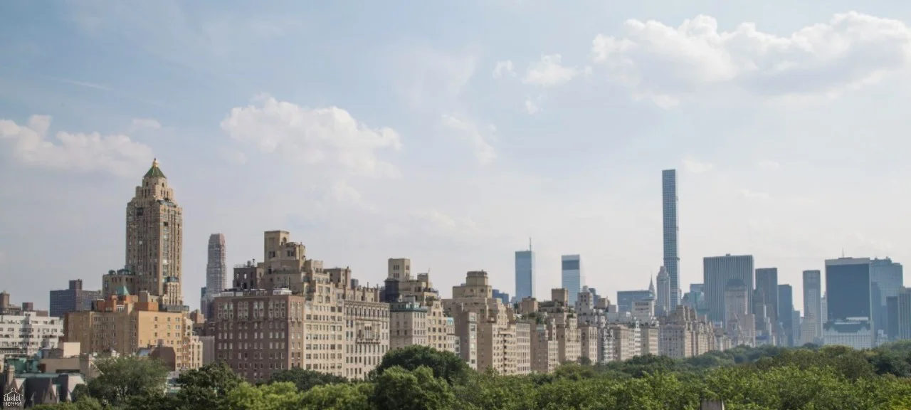 rooftop at the met.jpg